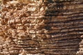 Texture of the rock. Large rocks exfoliate from the rock.