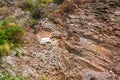 Texture of the rock. Large rocks exfoliate from the rock.