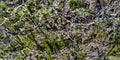Texture of the Rock with Moss Royalty Free Stock Photo