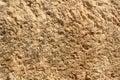 The texture of the rock processed with a tools. Royalty Free Stock Photo