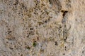 Texture rock seamless, rock surface Royalty Free Stock Photo