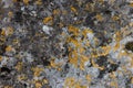 Texture rock seamless, rock surface Royalty Free Stock Photo