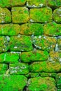 Texture of rock wall overgrown with moss Royalty Free Stock Photo