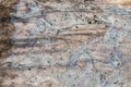 Texture of rocky hard stone with relief gray-brown pattern with chips and protrusions, veins and swellings. Natural background. Royalty Free Stock Photo