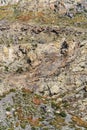 The texture of the rocky slope of a mountain gorge