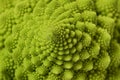 texture of Roman cauliflower Royalty Free Stock Photo