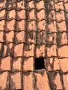 Texture of roof