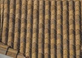 The textures of the roof tiles. The background is textured, gray and brown.
