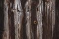 The texture is rotten wood, spoiled, with holes. Brown and white. Wallpaper, background Royalty Free Stock Photo