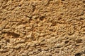 Texture of rough bricks made of shellfish Royalty Free Stock Photo