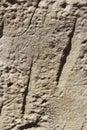 Texture rough brown gray surface of an old cement wall with cracks, patterns and divorces Royalty Free Stock Photo