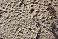 Texture rough brown gray surface of an old cement wall with cracks, patterns and divorces Royalty Free Stock Photo