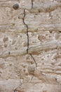 Texture rough brown gray surface of an old cement wall with cracks, patterns and divorces Royalty Free Stock Photo