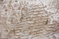 Texture rough brown gray surface of an old cement wall with cracks, patterns and divorces Royalty Free Stock Photo