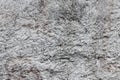 The texture of rough gray cement plaster