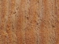 Texture of rough pine Board. Wooden surface covered with splinters and cracks Royalty Free Stock Photo