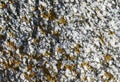 texture of rough stone covered with tufts of yellow moss Royalty Free Stock Photo