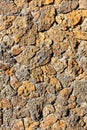 The rough masonry of the wall is lined with old orange shell rock. Vertical image Royalty Free Stock Photo