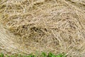 Texture of a round natural dried dry haystack of straw is a dry grass with spikelets and grass blades of brown yellow background