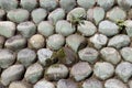 Texture of round stone stacked to wall with fern plant and green thallophytic plant.