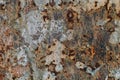 Texture of rusty iron, cracked paint on an old metallic surface, sheet of rusty metal with cracked and flaky paint, corrosion, de