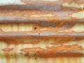 Texture of rusty zync on the erode galvanized iron