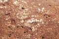 Texture of rye bread crust Royalty Free Stock Photo