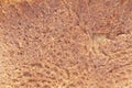 Texture of rye bread crust Royalty Free Stock Photo