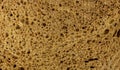 Texture of rye bread. A dark brown piece of bread. Close up Royalty Free Stock Photo