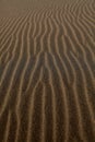 Texture of sand for background, pattern. Royalty Free Stock Photo