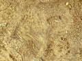 Texture, sand on the beach. yellow, loose, fine sand, 3d background, natural material. grains of sand on the sea, a walk on the Royalty Free Stock Photo