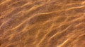 The texture of the sand on the bottom through the water Royalty Free Stock Photo