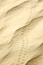 Texture of sand, footprints