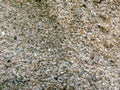 Texture of sand grains Royalty Free Stock Photo