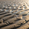 The texture of the sand is smooth with tiny grains visibly sparkling Royalty Free Stock Photo