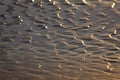 Texture in the sand, Valdearenas beach Royalty Free Stock Photo