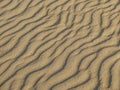 Texture of sand waves on the beach or in the desert. the ripples of the sand is diagonal. Royalty Free Stock Photo