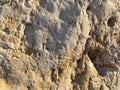 Texture of sandy stone close-up