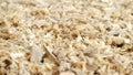 Texture of sawdust, kind of serhu. Wood sawdust background, close-up. Wood sawdust texture, background. Pile of sawdust Royalty Free Stock Photo