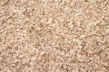 Texture of a sawdust wooden cuts above view macro