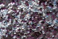 Texture scales of sequins