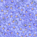 texture of a seamless flower pattern. blue flax. decorative design elements Royalty Free Stock Photo