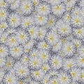 texture of a seamless flower pattern. decorative design elements Royalty Free Stock Photo