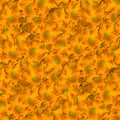 texture of a seamless flower pattern. decorative design elements Royalty Free Stock Photo