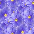 texture of a seamless flower pattern. decorative design elements Royalty Free Stock Photo