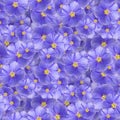 texture of a seamless flower pattern. decorative design elements Royalty Free Stock Photo