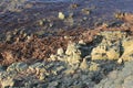 Texture of seaweed, rocks and sea Royalty Free Stock Photo