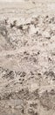 Texture Series - Stone Slab Polished Granite Royalty Free Stock Photo