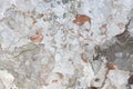 Texture of shabby old wall surface with peeling plaster, grunge background. Building facade with damaged plaster. Abstract banner,