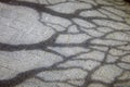The texture of the shadows on the pavement. Royalty Free Stock Photo